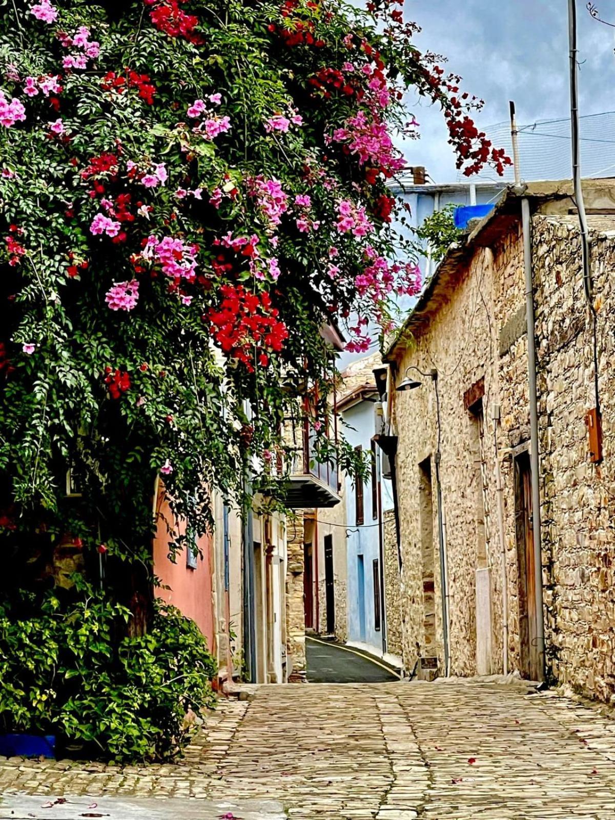 7Kamares Affittacamere Pano Lefkara Esterno foto